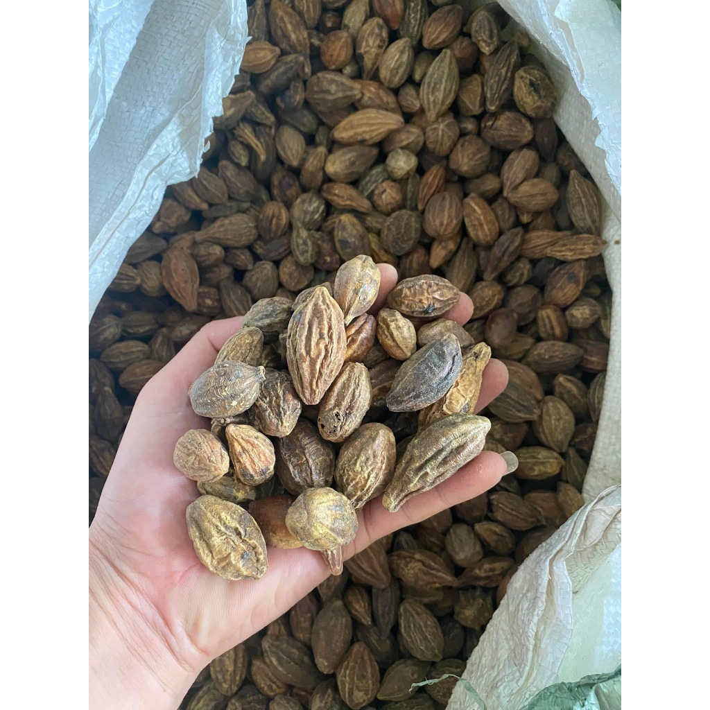 500GR Kha Tử Khô Thượng Hàng Hỗ Trợ Giảm Ho, Cải Thiện Tiêu Hoá