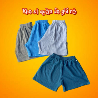 Quần Sóc Đùi Nữ Lưng Thun Chất Tăm Lạnh Mềm Nhẹ Co Giãn Tốt Freesize 40-55kg