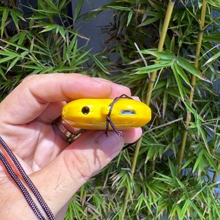 Máy niệm phật nghe kinh có sẵn 44 bài JSA01 lá bồ đề có cổng cắm tai nghe - kèm dây đeo cổ (nhiều màu)