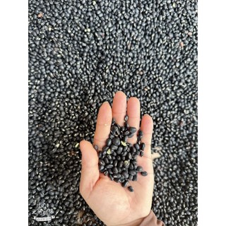 1kg đậu đen xanh lòng hợp tác xã nông nghiệp hữu  cơ trồng bở tơi