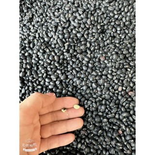 1kg đậu đen xanh lòng hợp tác xã nông nghiệp hữu  cơ trồng bở tơi