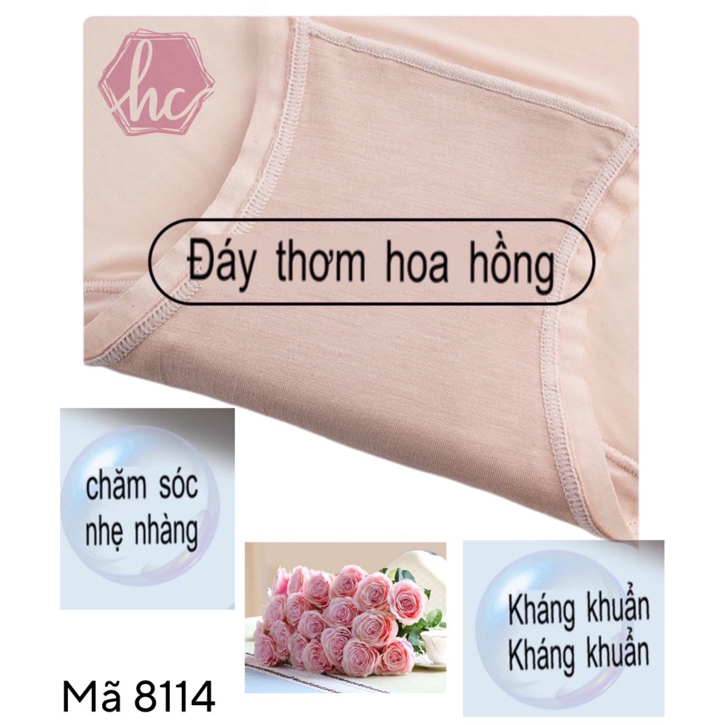 Hộp 5 Chiếc Quần Lót Nữ Lụa Siêu Mỏng Không Lộ Viền Giúp Cô Bé Thoáng Khí, Thoải Mái, Không Bí Bách
