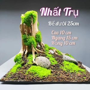 Tiểu cảnh " Nhất Trụ" dành cho bể cá cảnh, bể thủy sinh mini, nhỏ, cubic dưới 20cm