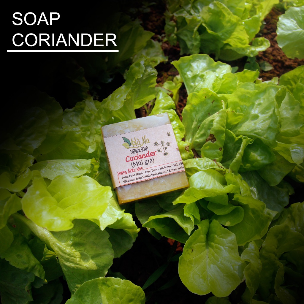 Xà Bông Mùi Già 85 gr - Tinh Dầu Hà Na - Thơm hương mùi già, sạch mụn thích hợp mọi loại da