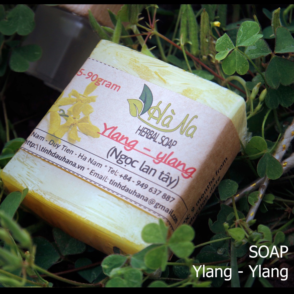 Xà Bông thảo dược - Thích hợp với các loại da mụn, da dầu, da nhạy cảm