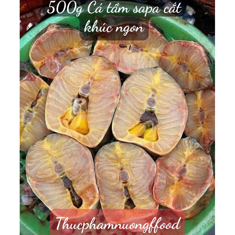 [hcm-hoả tốc] 500gr Cá Tầm Sapa tươi Cắt Khúc cấp đông siêu ngon ...