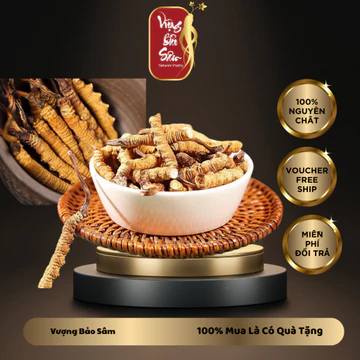 [50g]Đông Trùng Hạ Thảo Bhutan Gãy Thượng Hạng-Đông Trùng Hạ Thảo Phục Hồi Sức Khỏe,Chống Suy Nhược Cơ Thể-Vượng Bảo Sâm