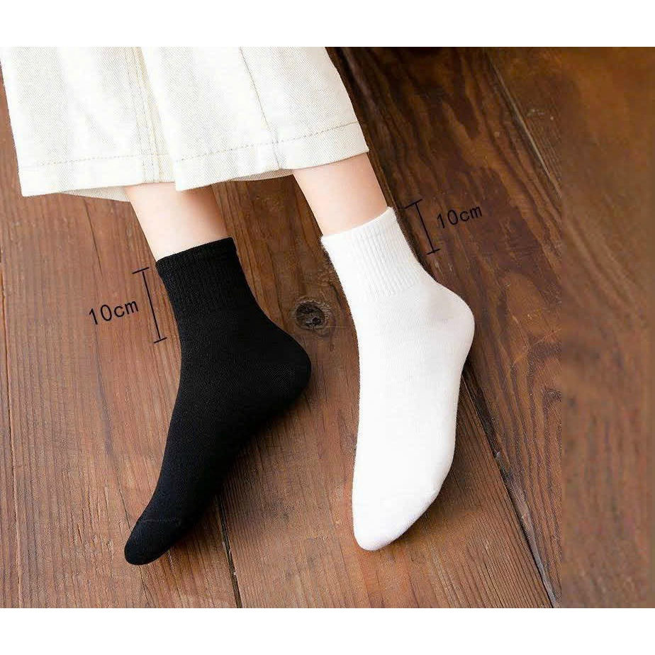 Tất nữ cổ cao dáng trơn chất cotton mềm mịn khử mùi an toàn chống hôi chân 197