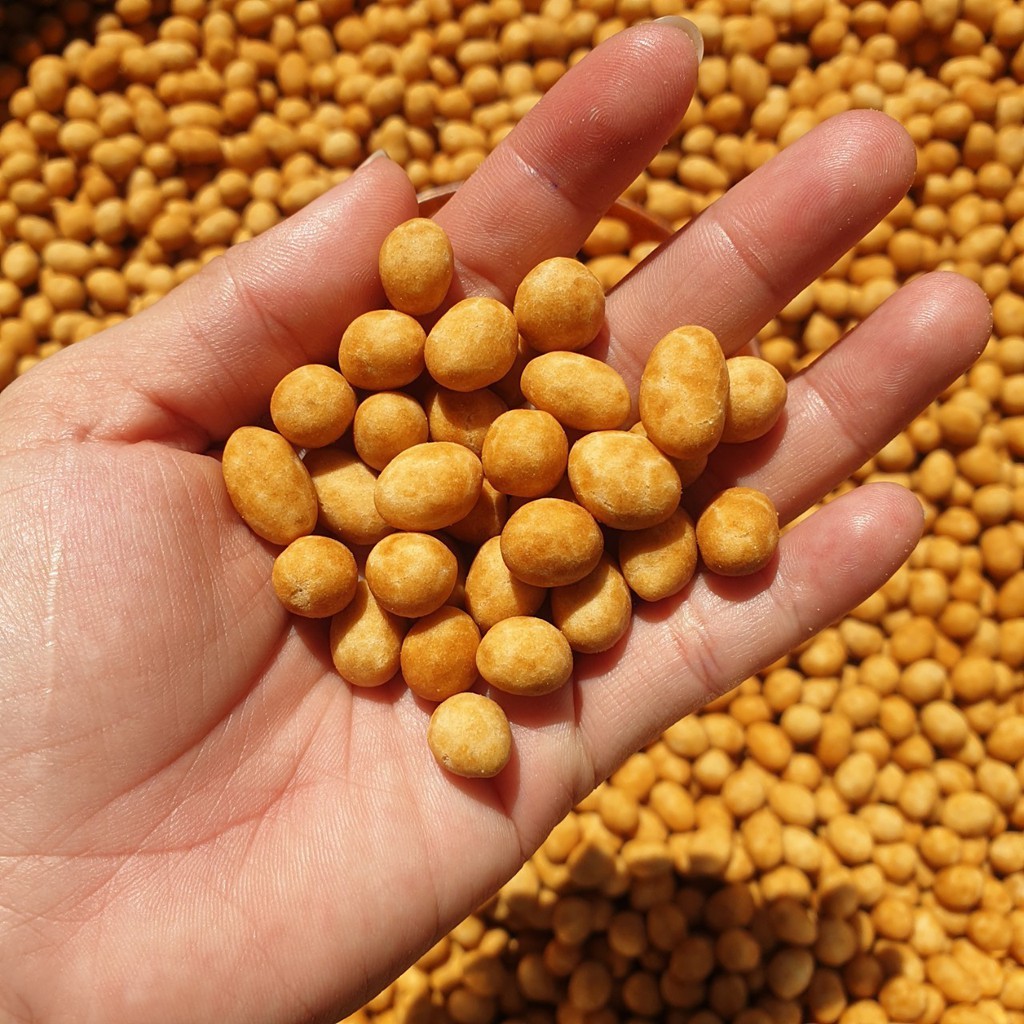 Đậu Phộng Da Cá Nước Cốt Dừa (Thơm Ngon – Bổ Dưỡng) – Ăn Vặt Su Xoắn