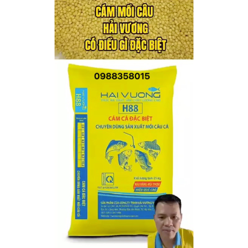 Cám Cá H88