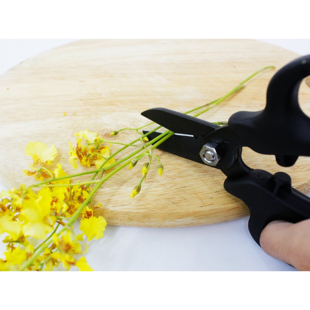 Kéo cắt hoa quả Nhật Bản Chikamasa MF-9000 ( Màu sắc : Hồng - Đen )