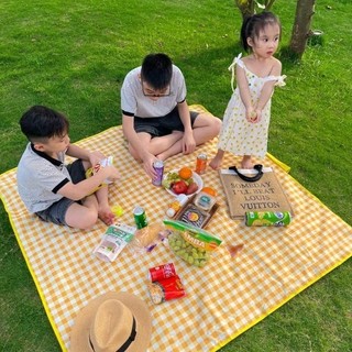 Thảm du lịch, thảm chải đi dã ngoại picnic gấp gọn chống nước