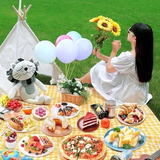 Thảm du lịch, thảm chải đi dã ngoại picnic gấp gọn chống nước