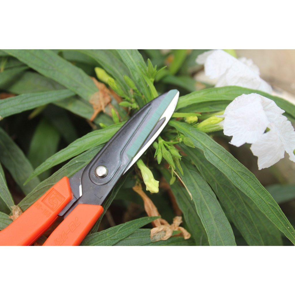 Kéo cắt hoa Nhật Bản Chikamasa NS-155E