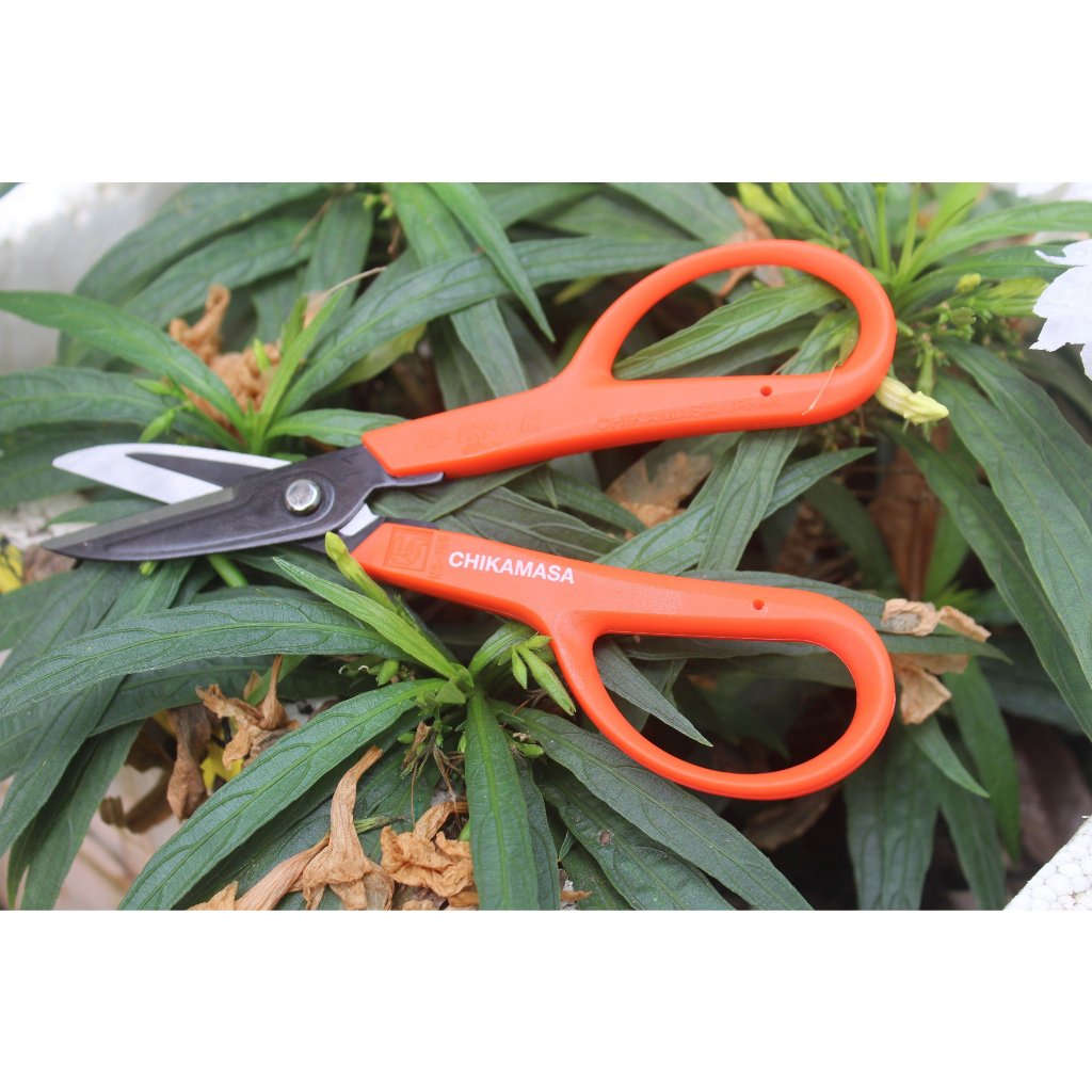 Kéo cắt hoa Nhật Bản Chikamasa NS-155E