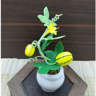 Chậu Hoa Mini Đất Sét Nhật Bàn Làm Việc Trang Trí decor