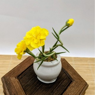 Chậu Hoa Mini Đất Sét Nhật Bàn Làm Việc Trang Trí decor