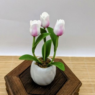 Chậu Hoa Mini Đất Sét Nhật Bàn Làm Việc Trang Trí decor