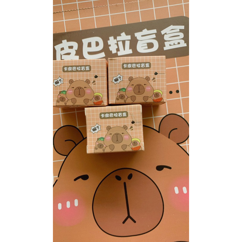 [Blind box Capybara] bất ngờ, nhiều charm dễ thương | Shopee Việt Nam