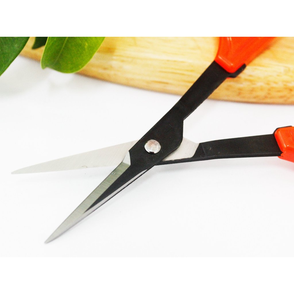 Kéo cắt nho Nhật Bản Chikamasa B-300