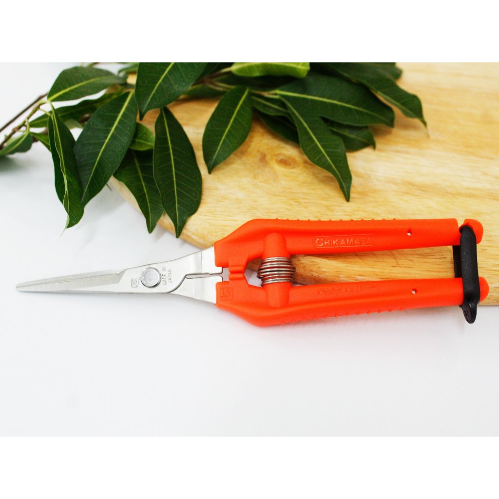 Kéo tỉa cành Nhật Bản Chikamasa TP-530S