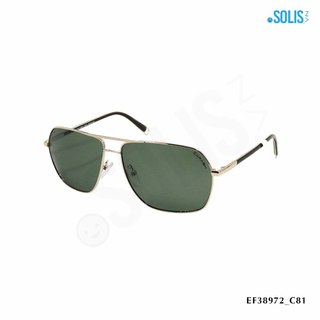 Kính mát KL hiệu Exfash EF38972 KÍCH THƯỚC 63-14-139