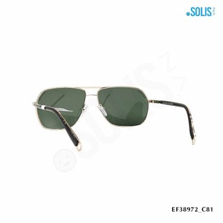 Kính mát KL hiệu Exfash EF38972 KÍCH THƯỚC 63-14-139