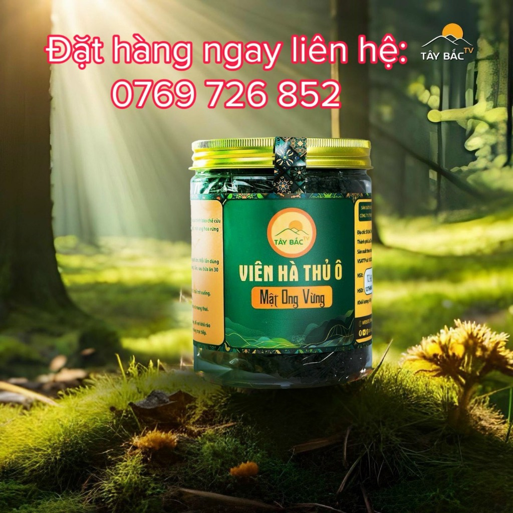 Viên hà thủ ô mật ong vừng Tây Bắc TV