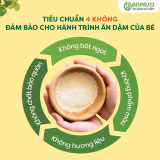 Bột Nêm Không Muối Ăn Dặm Anpaso 60gr Cho Bé 6M+ babyhomevietnam