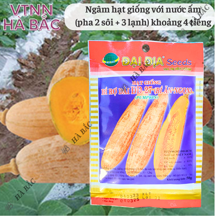 Hạt Giống Bí Rợ Trái Dài 27 (Bí Ăn Ngọn) Đại Địa - 50gram, Hạt Giống Nảy Mầm Tốt, Năng Suất Cao, Trông Quanh Năm