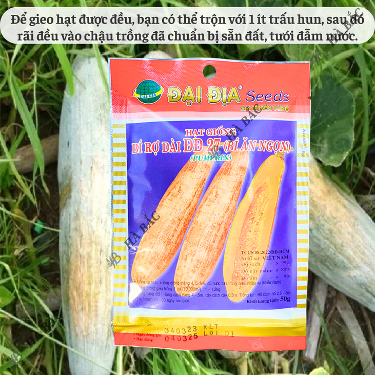 Hạt Giống Bí Rợ Trái Dài 27 (Bí Ăn Ngọn) Đại Địa - 50gram, Hạt Giống Nảy Mầm Tốt, Năng Suất Cao, Trông Quanh Năm