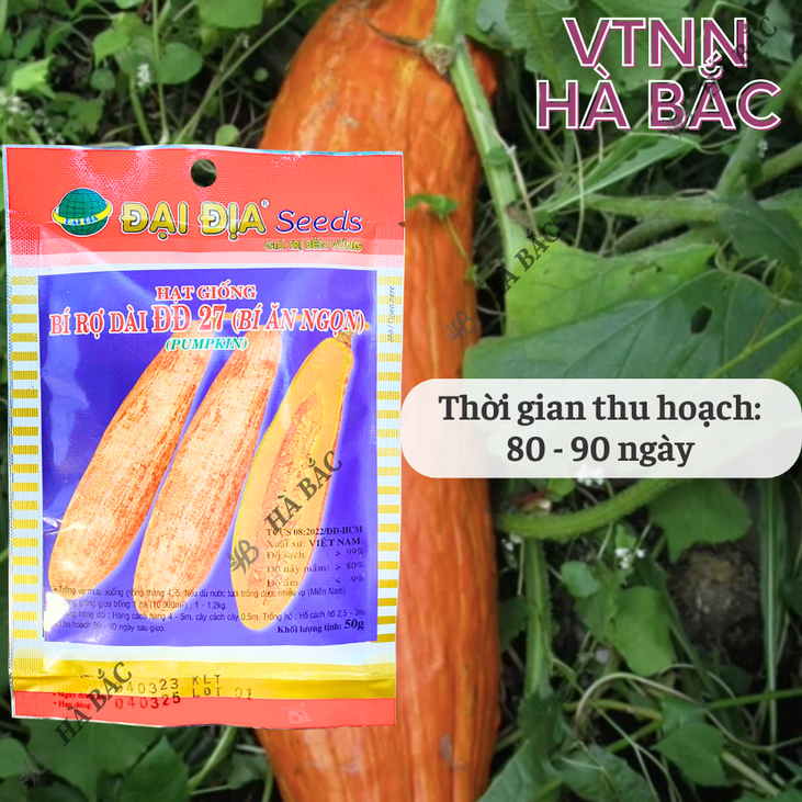 Hạt Giống Bí Rợ Trái Dài 27 (Bí Ăn Ngọn) Đại Địa - 50gram, Hạt Giống Nảy Mầm Tốt, Năng Suất Cao, Trông Quanh Năm