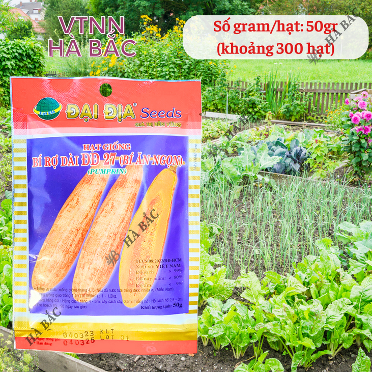 Hạt Giống Bí Rợ Trái Dài 27 (Bí Ăn Ngọn) Đại Địa - 50gram, Hạt Giống Nảy Mầm Tốt, Năng Suất Cao, Trông Quanh Năm