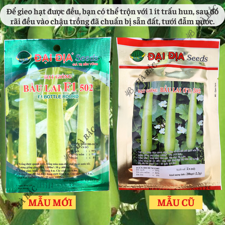 Hạt Giống Bầu Lai Trái Dài F1 502 Gói 2.2 Gram (20 Hạt) Đại Địa, Hạt Giống Nảy Mầm Tốt, Năng Suất Cao, Trông Quanh Năm