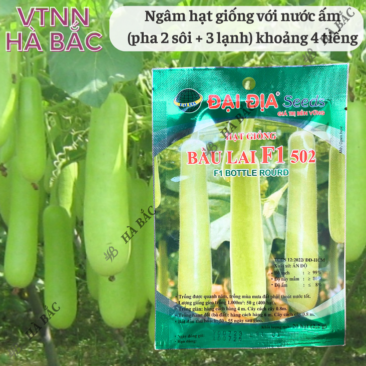 Hạt Giống Bầu Lai Trái Dài F1 502 Gói 2.2 Gram (20 Hạt) Đại Địa, Hạt Giống Nảy Mầm Tốt, Năng Suất Cao, Trông Quanh Năm