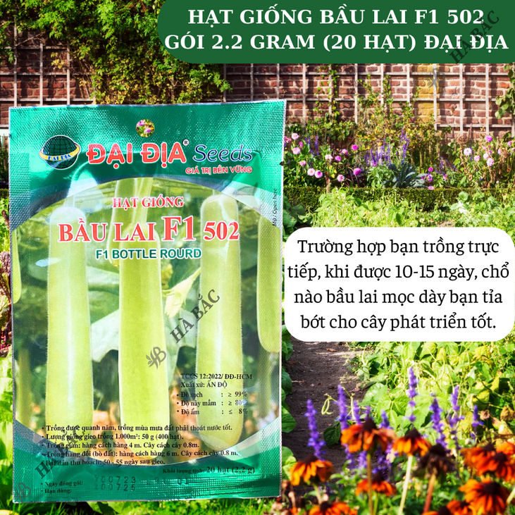 Hạt Giống Bầu Lai Trái Dài F1 502 Gói 2.2 Gram (20 Hạt) Đại Địa, Hạt Giống Nảy Mầm Tốt, Năng Suất Cao, Trông Quanh Năm