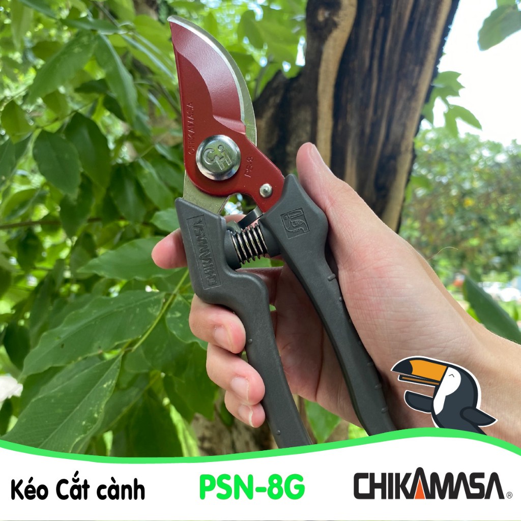 Kéo cắt cành Nhật Bản Chikamasa PSN-8G
