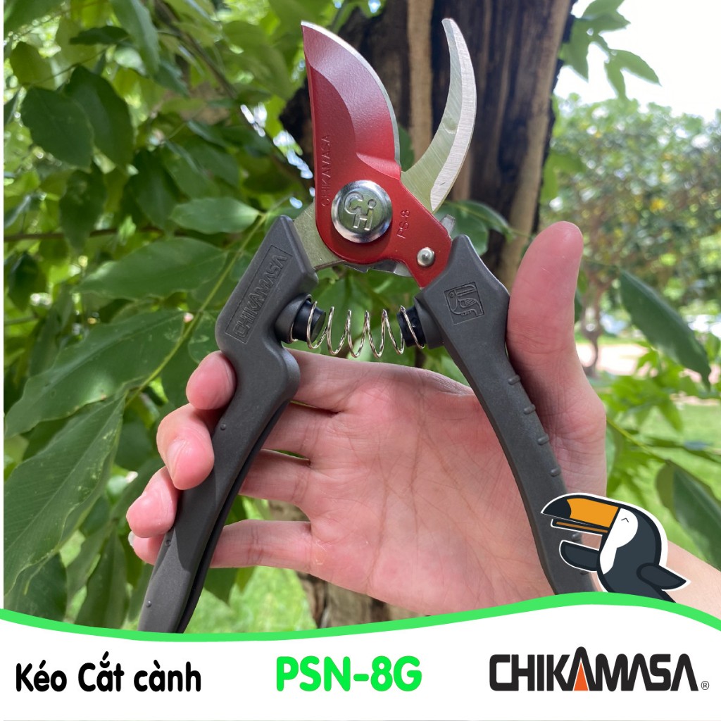 Kéo cắt cành Nhật Bản Chikamasa PSN-8G