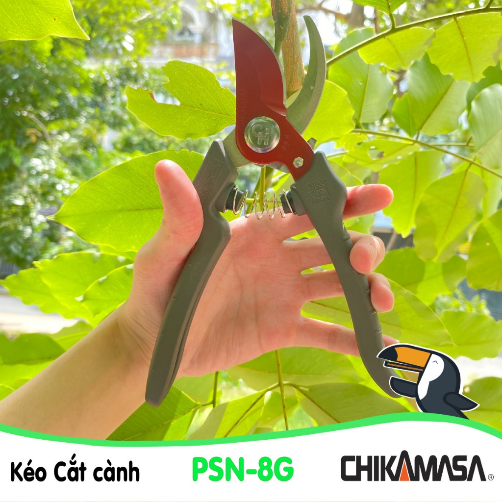 Kéo cắt cành Nhật Bản Chikamasa PSN-8G