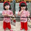 Bộ quần áo bé gái hoa nhí (7-18kg) - Kèm cài tóc - Chất Lụa mango thải mái cho bé yêu