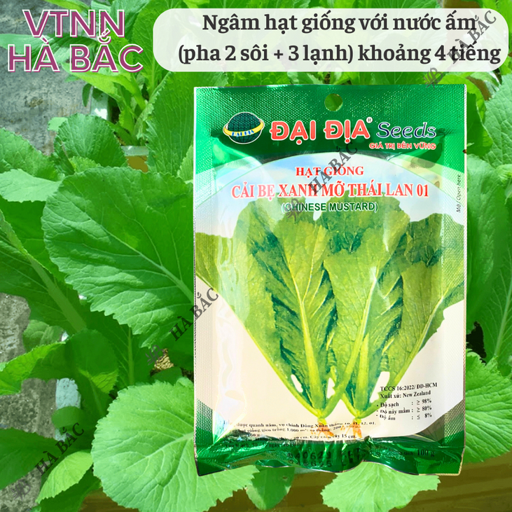 Cải bẹ xanh mỡ thái lan 01 GÓI 20GRAM/100GRAM - ĐẠI ĐỊA, Hạt Giống Nảy Mầm Tốt, Năng Suất Cao, Trông Quanh Năm