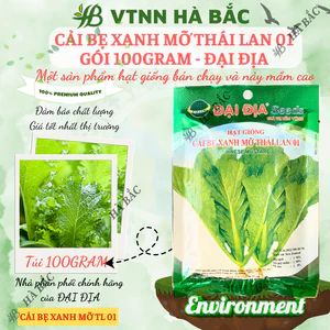 Cải bẹ xanh mỡ thái lan 01 GÓI 20GRAM/100GRAM - ĐẠI ĐỊA, Hạt Giống Nảy Mầm Tốt, Năng Suất Cao, Trông Quanh Năm