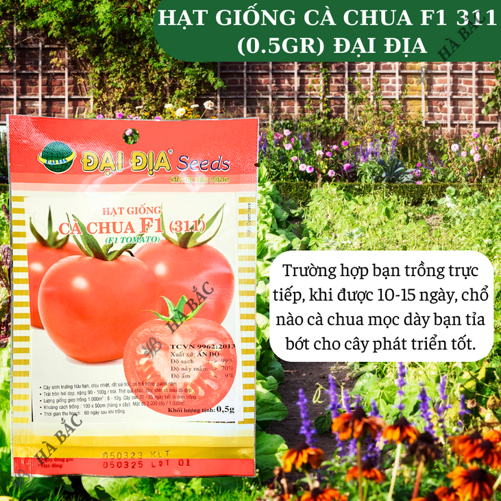 Hạt Giống Cà Chua F1 311  (0.5gr) ĐẠI ĐỊA, Hạt Giống Nảy Mầm Tốt, Năng Suất Cao, Trông Quanh Năm