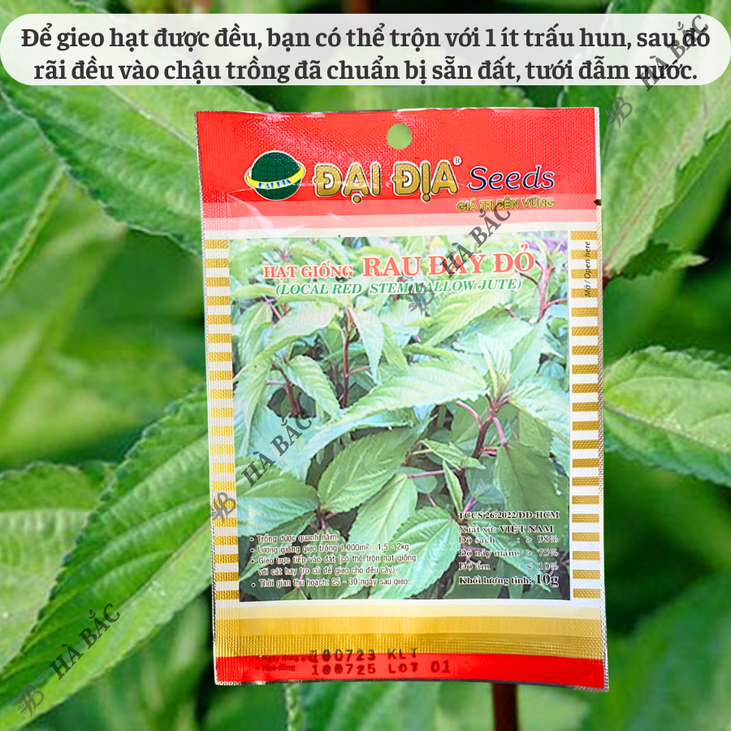Hạt Giống Rau Đay Đỏ 10gram/50gram Đại Địa, Hạt Giống Nảy Mầm Tốt, Năng Suất Cao, Trông Quanh Năm