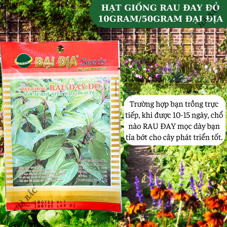 Hạt Giống Rau Đay Đỏ 10gram/50gram Đại Địa, Hạt Giống Nảy Mầm Tốt, Năng Suất Cao, Trông Quanh Năm