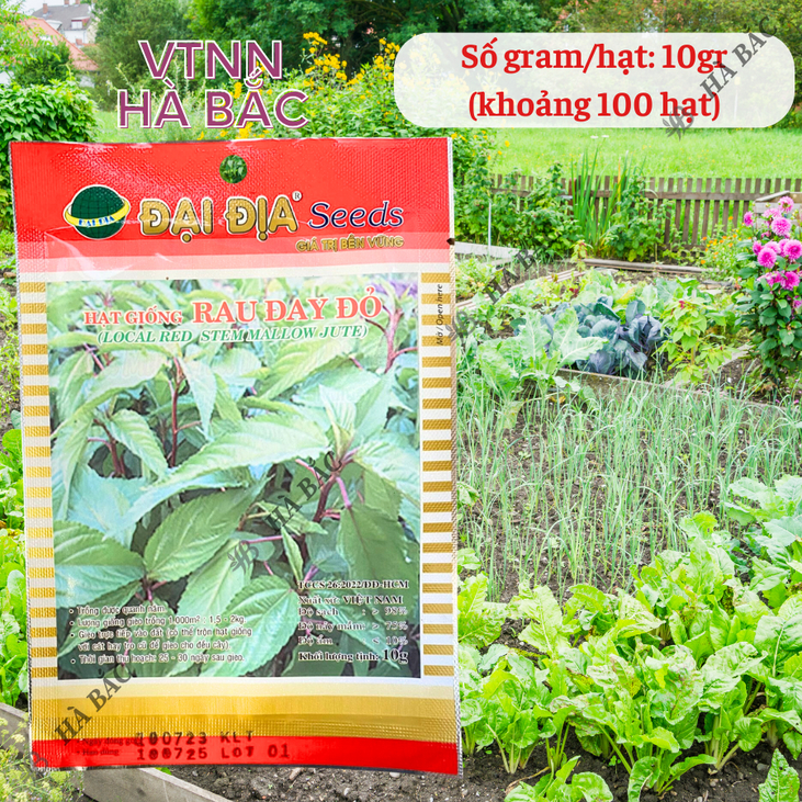 Hạt Giống Rau Đay Đỏ 10gram/50gram Đại Địa, Hạt Giống Nảy Mầm Tốt, Năng Suất Cao, Trông Quanh Năm