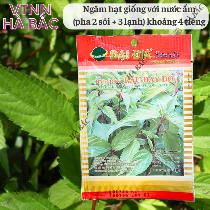 Hạt Giống Rau Đay Đỏ 10gram/50gram Đại Địa, Hạt Giống Nảy Mầm Tốt, Năng Suất Cao, Trông Quanh Năm