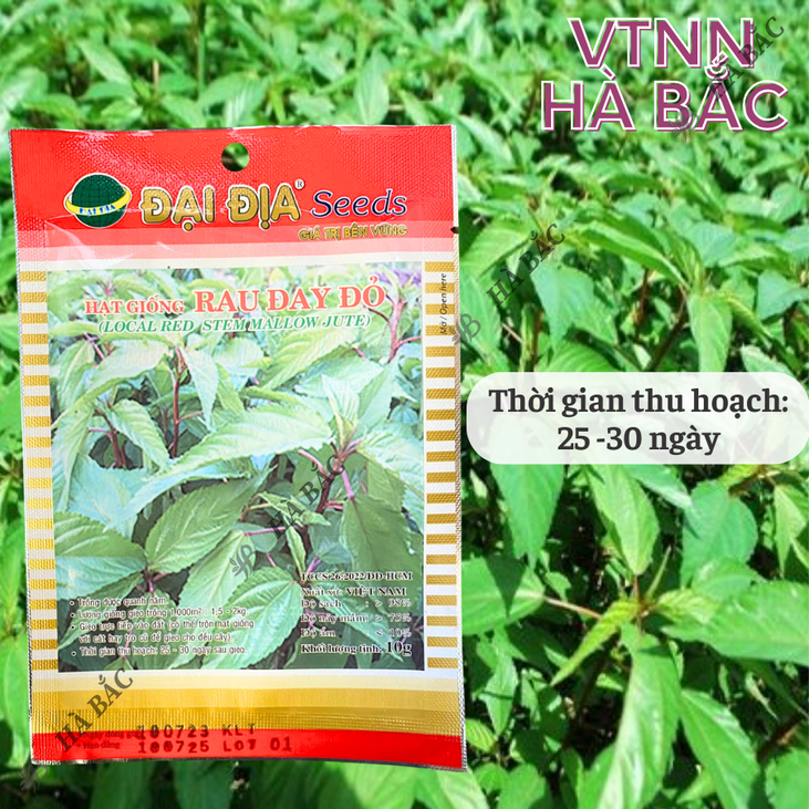 Hạt Giống Rau Đay Đỏ 10gram/50gram Đại Địa, Hạt Giống Nảy Mầm Tốt, Năng Suất Cao, Trông Quanh Năm
