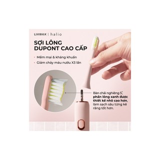 Bàn chải điện Halio Sonic SmartClean Electric Toothbrush - Bảo hành chính hãng 24 tháng