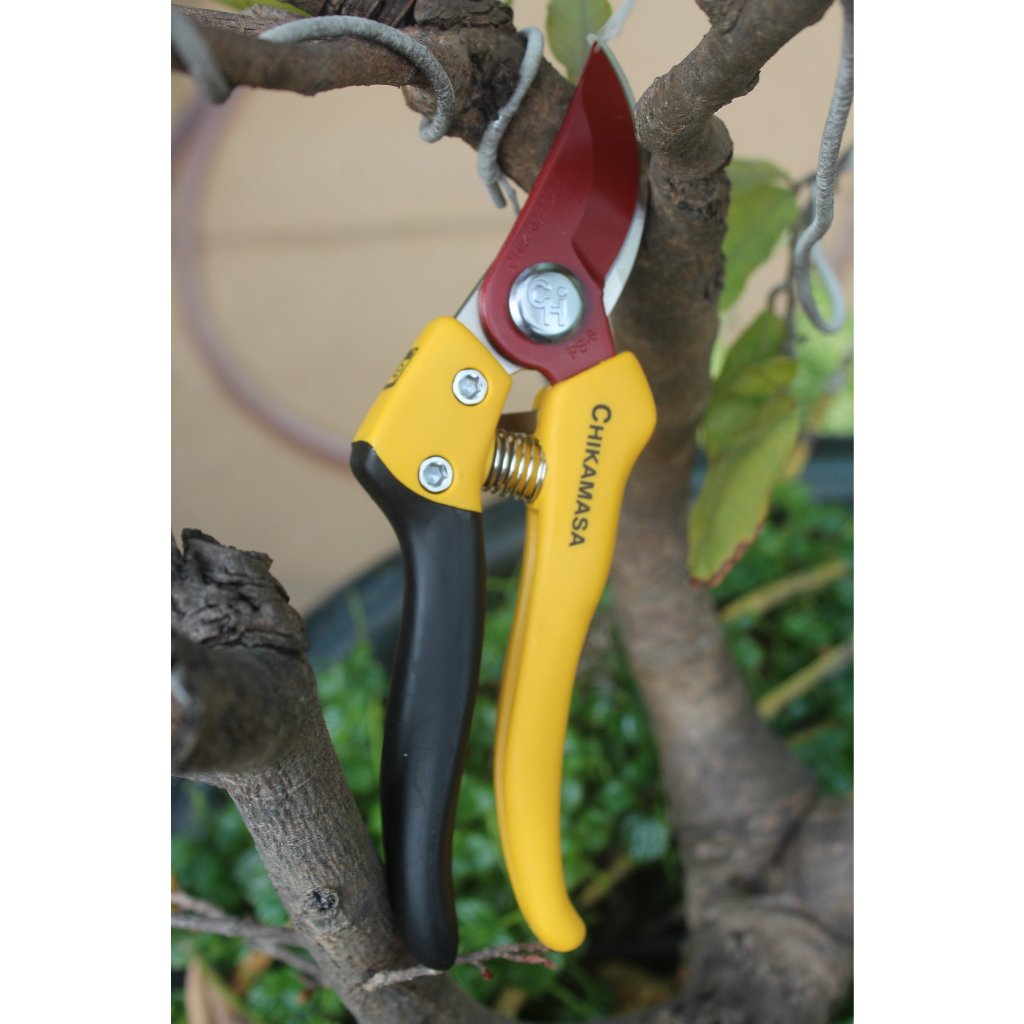 Kéo cắt cành Nhật Bản Chikamasa PS-8Y